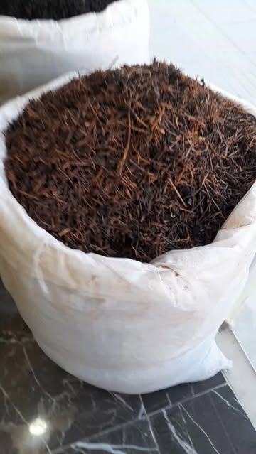 قلم ۳ بهار(چوب چایی)